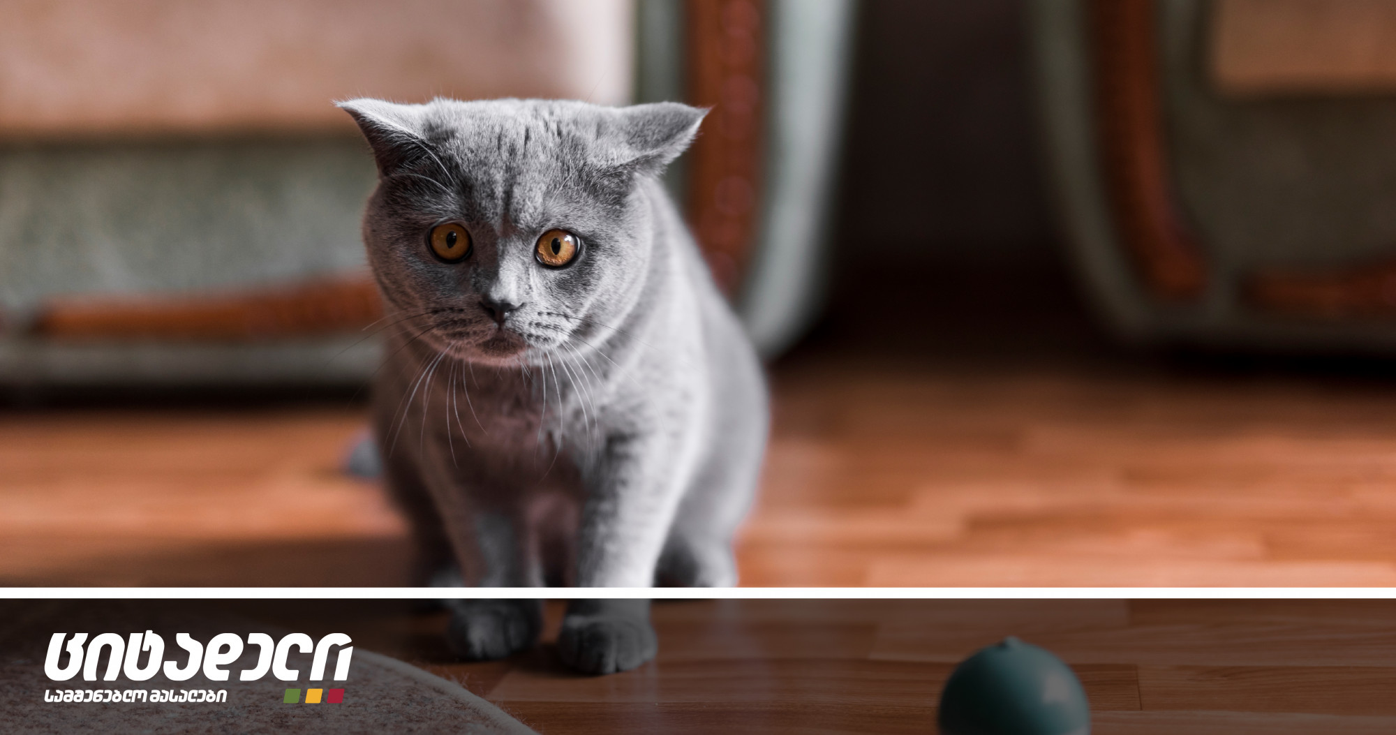 Laminate floor and cat scratches