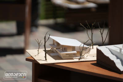 Citadeli Scholarship Award to University of Georgia Students