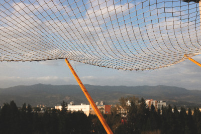 Perimeter guard net