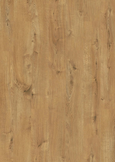 5985-Дуб Шервуд