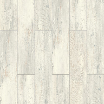 STEPPR KT805 10X159X1205 AC5 ALBATROS  შოვიანი 33 class