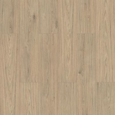 STEPWNG SW003 08X197X1205 AC5  შოვიანი HAWK 33 Class