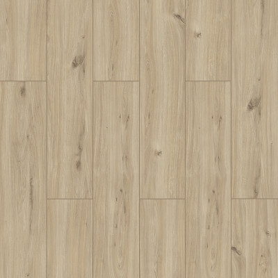 STEPWNG SW005 08X197X1205 AC5  შოვიანი  HERON  33 Class