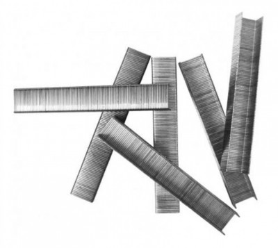 Staple 10 mm (STS0110)