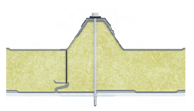 50 MM Roof N5 Eco (ეკოპანელები)